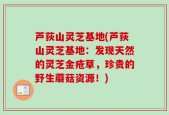 芦荻山灵芝基地(芦荻山灵芝基地：发现天然的灵芝金疮草，珍贵的野生蘑菇资源！)