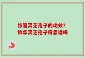 惊喜灵芝孢子的功效？锦华灵芝孢子粉靠谱吗