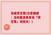 法戒灵芝草(注意健康：法印斋清真素食「灵芝草」功效大！)