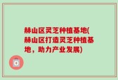 赫山区灵芝种植基地(赫山区打造灵芝种植基地，助力产业发展)