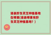 道县野生灵芝种植基地在哪里(道县哪里有野生灵芝种植基地？)