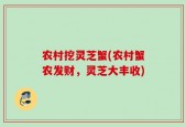 农村挖灵芝蟹(农村蟹农发财，灵芝大丰收)