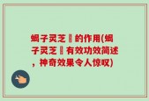 蝎子灵芝氿的作用(蝎子灵芝氿有效功效简述，神奇效果令人惊叹)