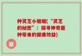 种灵芝小姐姐(“灵芝的秘密”：探寻神奇菌种带来的健康效益)
