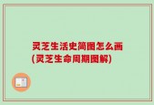 灵芝生活史简图怎么画(灵芝生命周期图解)