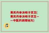 黄芪丹参决明子灵芝(黄芪丹参决明子灵芝——中医药调理秘方)