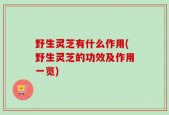 野生灵芝有什么作用(野生灵芝的功效及作用一览)