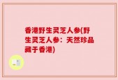 香港野生灵芝人参(野生灵芝人参：天然珍品藏于香港)