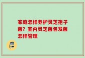 家庭怎样养护灵芝孢子菌？室内灵芝菌包发菌怎样管理