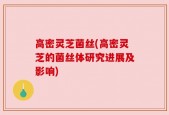 高密灵芝菌丝(高密灵芝的菌丝体研究进展及影响)