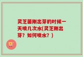 灵芝菌刚出芽的时候一天喷几次水(灵芝刚出芽？如何喷水？)