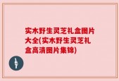 实木野生灵芝礼盒图片大全(实木野生灵芝礼盒高清图片集锦)