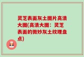 灵芝表面灰土图片高清大图(高清大图：灵芝表面的微妙灰土纹理盘点)