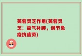 芙蓉灵芝作用(芙蓉灵芝：益气补肺，调节免疫抗疲劳)