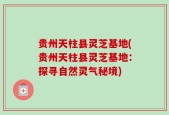 贵州天柱县灵芝基地(贵州天柱县灵芝基地：探寻自然灵气秘境)