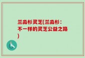 兰淼杉灵芝(兰淼杉：不一样的灵芝公益之路)