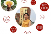 灵芝孢子粉国家标准是什么？灵芝孢子粉的含量标准是多少？