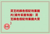 灵芝的颜色搭配效果图片(提升家居氛围！灵芝颜色搭配效果图大赏)