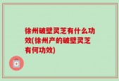 徐州破壁灵芝有什么功效(徐州产的破壁灵芝有何功效)