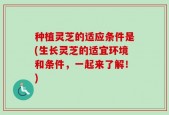 种植灵芝的适应条件是(生长灵芝的适宜环境和条件，一起来了解！)