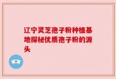 辽宁灵芝孢子粉种植基地探秘优质孢子粉的源头