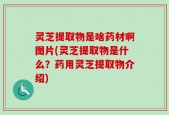 灵芝提取物是啥药材啊图片(灵芝提取物是什么？药用灵芝提取物介绍)
