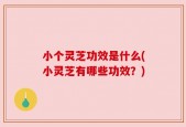 小个灵芝功效是什么(小灵芝有哪些功效？)
