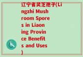 辽宁省灵芝孢子(Lingzhi Mushroom Spores in Liaoning Province Benefits and Uses)