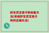 野生灵芝孢子粉收集方法(采摘野生灵芝孢子粉的正确方法)