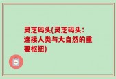 灵芝码头(灵芝码头：连接人类与大自然的重要枢纽)