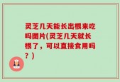 灵芝几天能长出根来吃吗图片(灵芝几天就长根了，可以直接食用吗？)