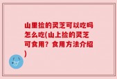 山里捡的灵芝可以吃吗怎么吃(山上捡的灵芝可食用？食用方法介绍)
