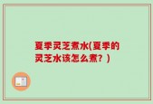 夏季灵芝煮水(夏季的灵芝水该怎么煮？)