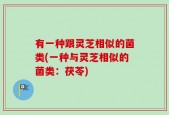有一种跟灵芝相似的菌类(一种与灵芝相似的菌类：茯苓)