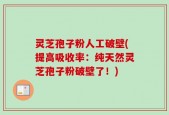灵芝孢子粉人工破壁(提高吸收率：纯天然灵芝孢子粉破壁了！)