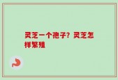 灵芝一个孢子？灵芝怎样繁殖