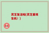 灵芝复活啦(灵芝重现生机！)