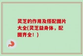 灵芝的作用及搭配图片大全(灵芝益身体，配图齐全！)