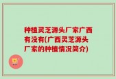 种植灵芝源头厂家广西有没有(广西灵芝源头厂家的种植情况简介)