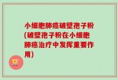 小细胞肺癌破壁孢子粉(破壁孢子粉在小细胞肺癌治疗中发挥重要作用)