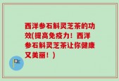 西洋参石斛灵芝茶的功效(提高免疫力！西洋参石斛灵芝茶让你健康又美丽！)