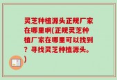 灵芝种植源头正规厂家在哪里啊(正规灵芝种植厂家在哪里可以找到？寻找灵芝种植源头。)