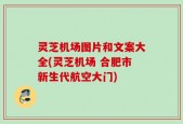 灵芝机场图片和文案大全(灵芝机场 合肥市新生代航空大门)