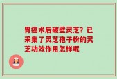 胃癌术后破壁灵芝？已采集了灵芝孢子粉的灵芝功效作用怎样呢