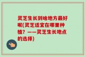 灵芝生长到啥地方最好呢(灵芝适宜在哪里种植？——灵芝生长地点的选择)