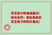 灵芝孢子粉唯美图片(纯净自然！美轮美奂的灵芝孢子粉照片展示)