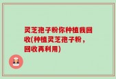灵芝孢子粉你种植我回收(种植灵芝孢子粉，回收再利用)