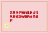 灵芝孢子粉的生长过程从种植到收获的全景解析