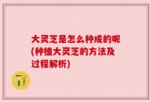 大灵芝是怎么种成的呢(种植大灵芝的方法及过程解析)