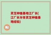 灵芝种植基地江厂长(江厂长分享灵芝种植基地经验)
